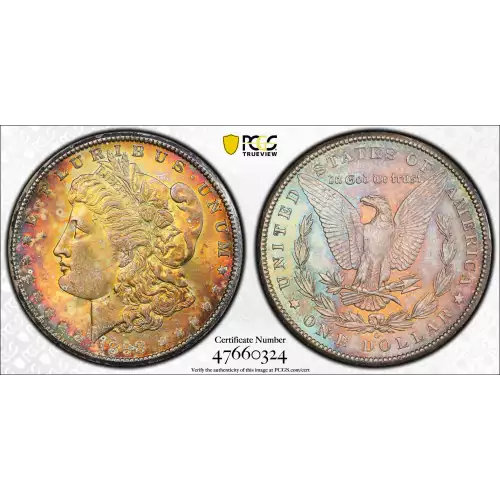 Morgan Silver Dollar (2)