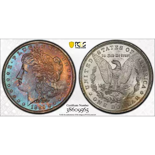 Morgan Silver Dollar (2)