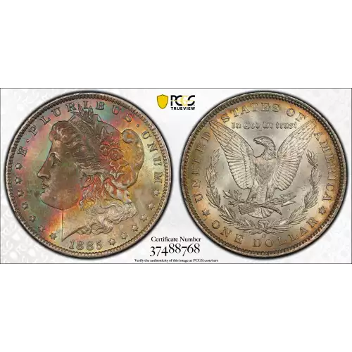 Morgan Silver Dollar (2)