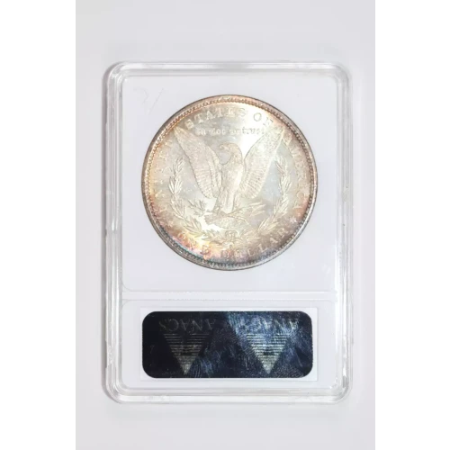Morgan Silver Dollar (2)