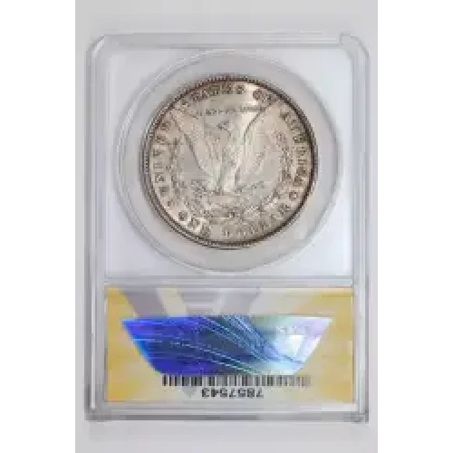 Morgan Silver Dollar (2)