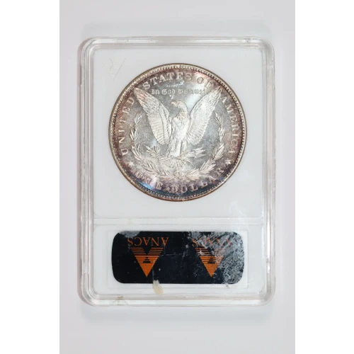 Morgan Silver Dollar (2)