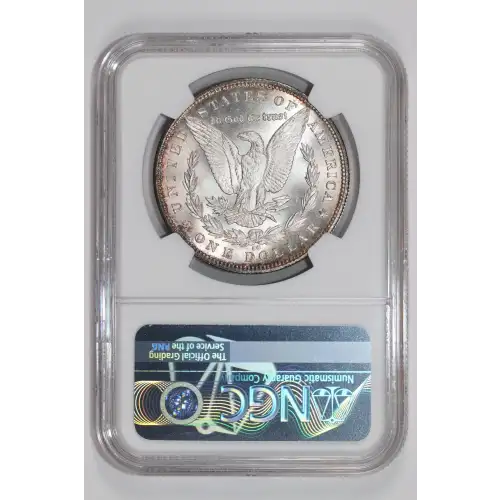 Morgan Silver Dollar (2)