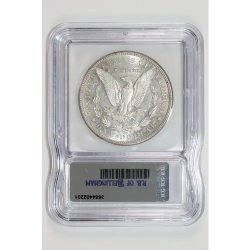 Morgan Silver Dollar (2)
