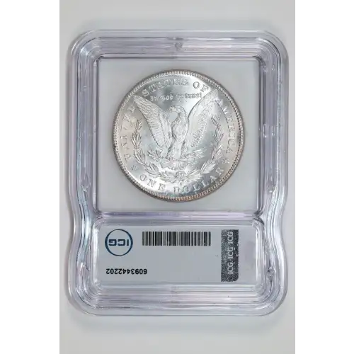 Morgan Silver Dollar (2)