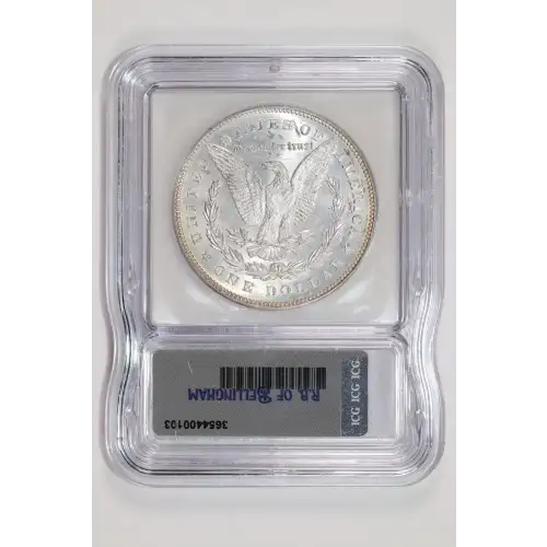 Morgan Silver Dollar (2)