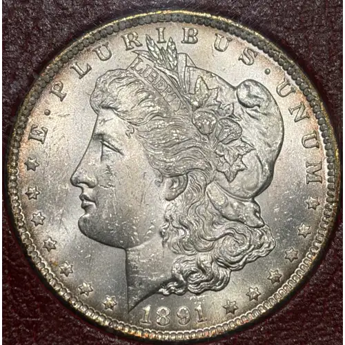 Morgan Silver Dollar (2)