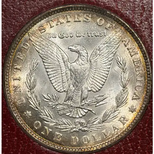 Morgan Silver Dollar