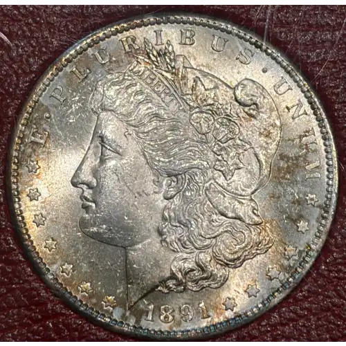 Morgan Silver Dollar