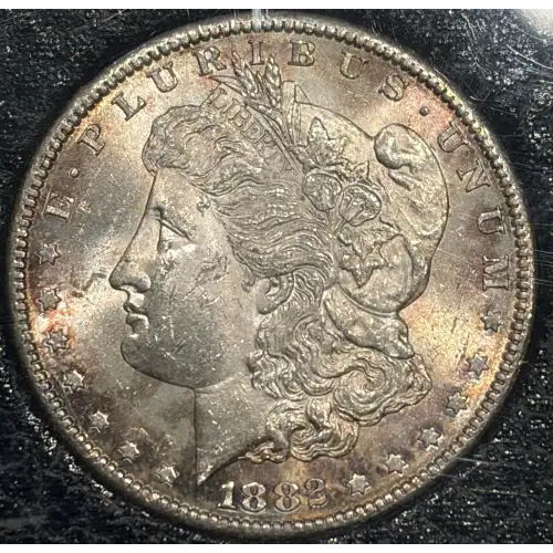 Morgan Silver Dollar