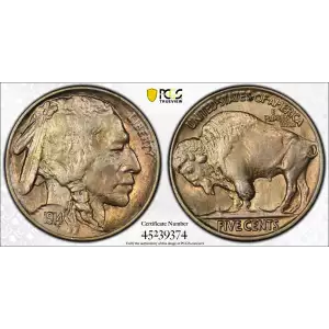 Nickel Five Cent Pieces-Indian Head or Buffalo (2)