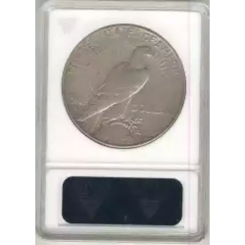 Peace Silver Dollar (3)