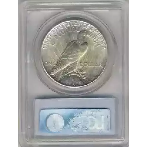 Peace Silver Dollar (3)