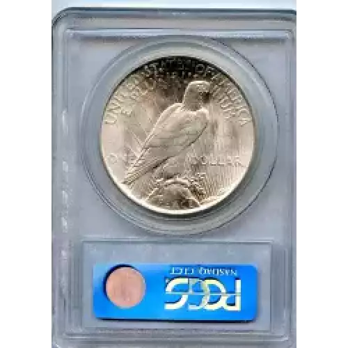 Peace Silver Dollar (3)