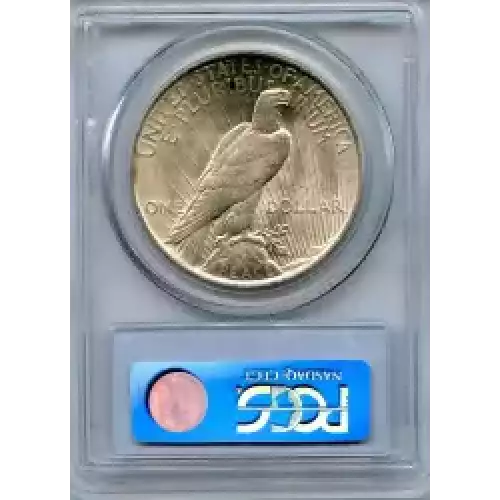 Peace Silver Dollar (3)