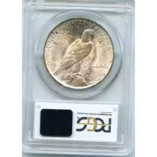 Peace Silver Dollar (3)