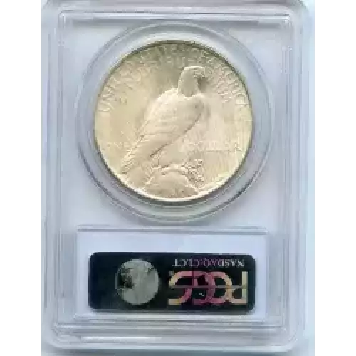 Peace Silver Dollar (3)