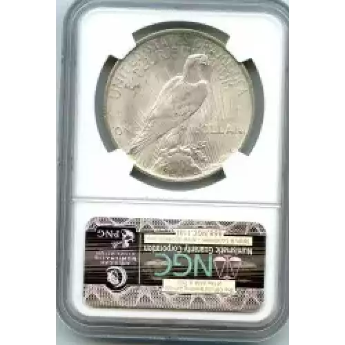 Peace Silver Dollar (3)