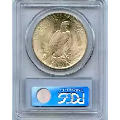 Peace Silver Dollar (3)