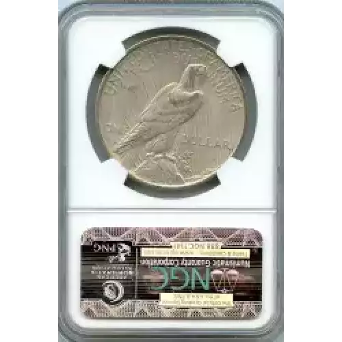 Peace Silver Dollar (3)