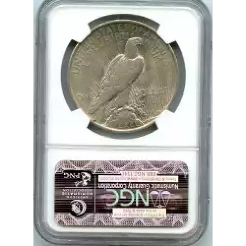 Peace Silver Dollar (3)