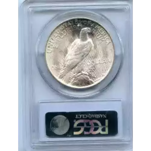 Peace Silver Dollar (3)