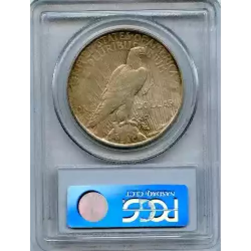 Peace Silver Dollar (3)