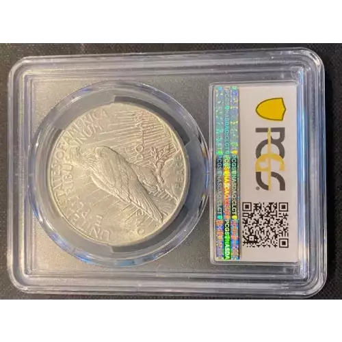 Peace Silver Dollar (3)