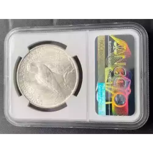 Peace Silver Dollar (3)