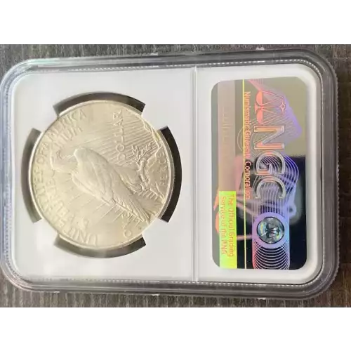 Peace Silver Dollar (3)