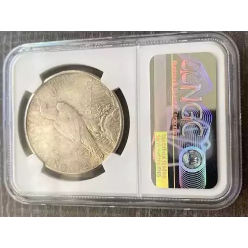 Peace Silver Dollar (3)