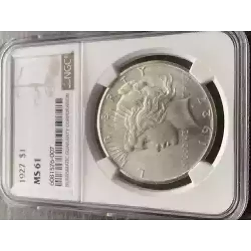 Peace Silver Dollar (3)