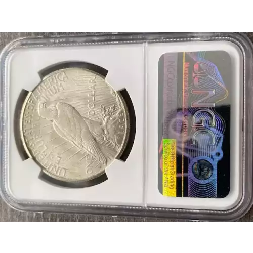 Peace Silver Dollar (3)