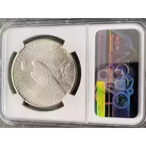 Peace Silver Dollar (3)