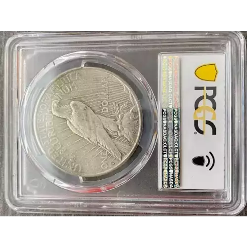 Peace Silver Dollar (3)