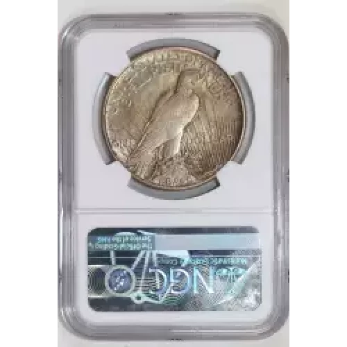 Peace Silver Dollar