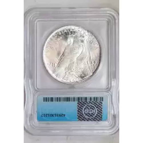 Peace Silver Dollar (2)