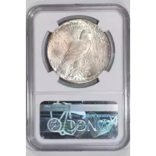 Peace Silver Dollar