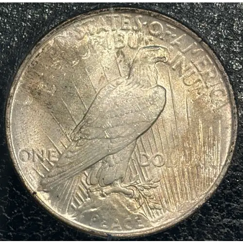 Peace Silver Dollar (3)