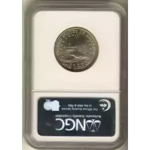 Sacagawea 2000-2017 - Brass Dollar (3)