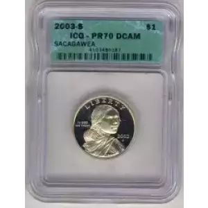 Sacagawea 2000-2017 - Brass Dollar (3)