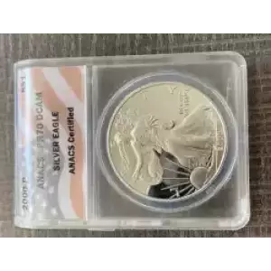 Silver Eagles (3)