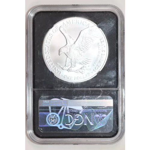 Silver Eagles (2)