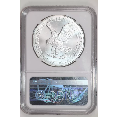 Silver Eagles (2)