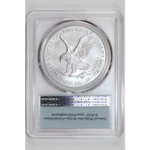 Silver Eagles (2)