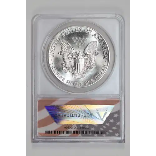 Silver Eagles (2)