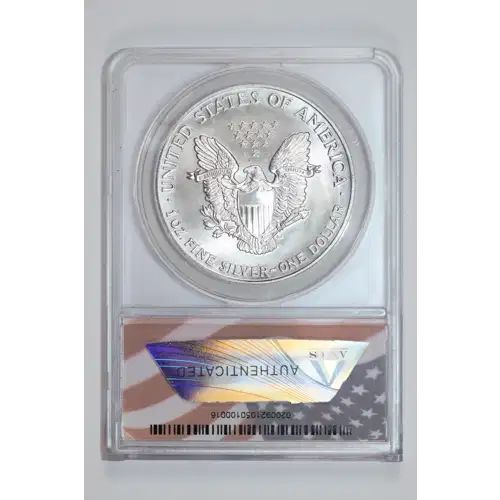 Silver Eagles (2)