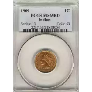 Small Cents-Indian Head 1859-1909 -Copper (3)