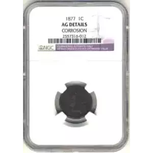 Small Cents-Indian Head 1859-1909 -Copper (3)