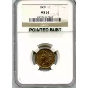 Small Cents-Indian Head 1859-1909 -Copper (3)